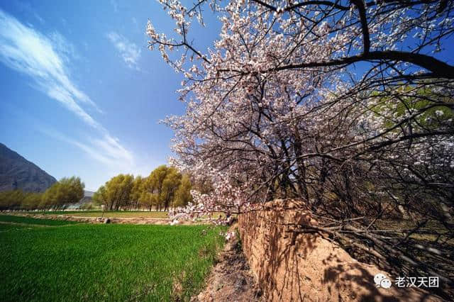 太全了！西宁最适合一日游的周边乡村景点，够你任性玩一年