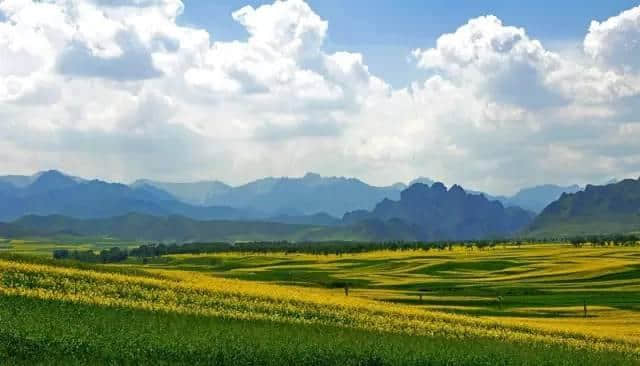 太全了！西宁最适合一日游的周边乡村景点，够你任性玩一年