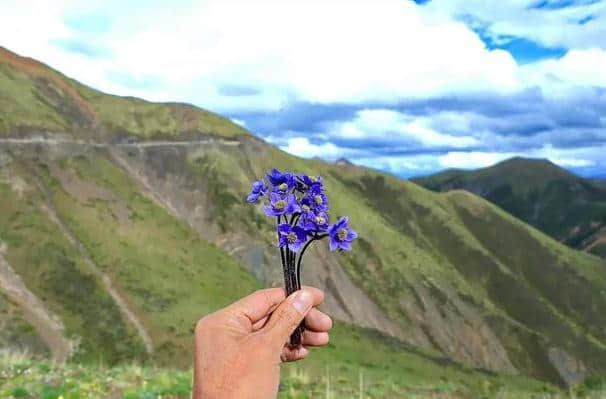 西藏旅游自驾走这线路，真值！