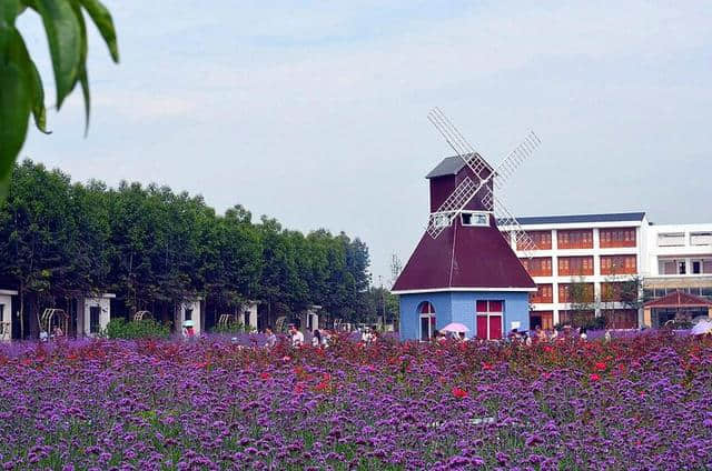 大邑除了西岭雪山、花水湾，原来还有这么多好耍的地方，耍好几个周末都可以！