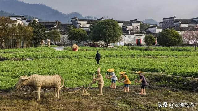 春游江淮|我与西递草人有个约会