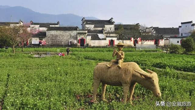 春游江淮|我与西递草人有个约会