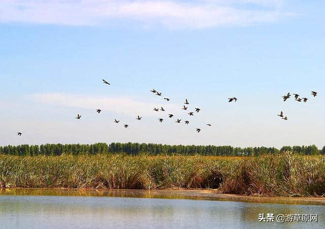 吉林白城旅游景区推荐，白城最好玩的地方在哪里？白城旅游分享