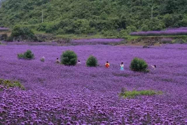 8月，必去的9个地方，总有一个适合你！