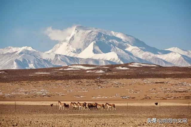 再穷，也要趁着年轻多去旅行!