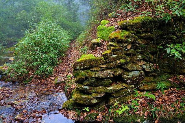 人少景美：贵州西江千户苗寨--雷公坪穿越攻略