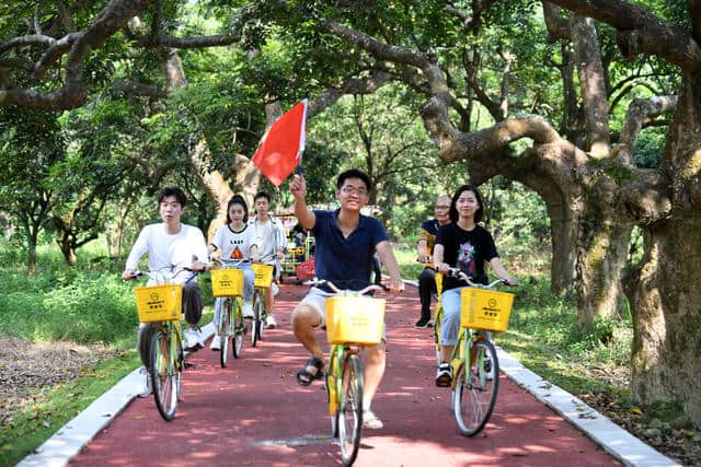 追寻最美绿道，就在广州增城