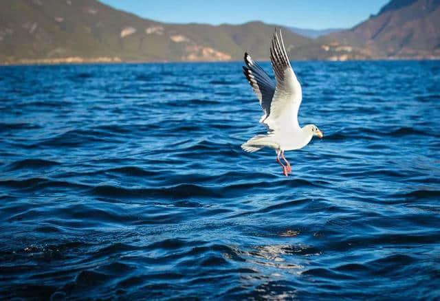 泸沽湖、西昌邛海、西昌卫星发射中心、观光美食旅游攻略