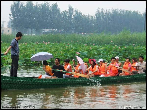 白洋淀——端午行