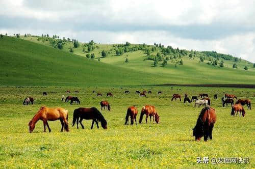 6月坝上草原旅游新资讯