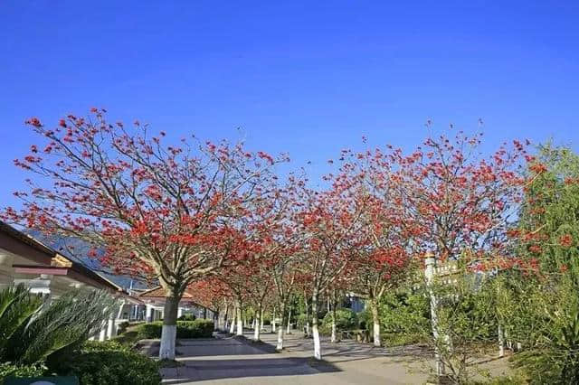 七彩西昌 | 最高气温28°C，快来西昌感受一秒入夏！