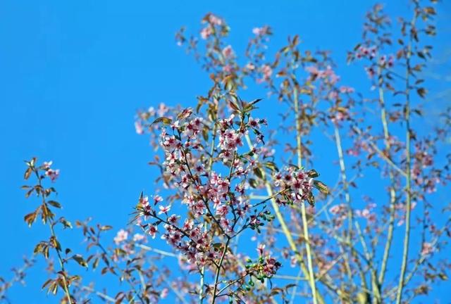 七彩西昌 | 最高气温28°C，快来西昌感受一秒入夏！