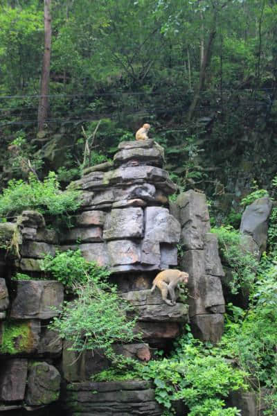 张家界旅游·去张家界一般玩几天？大概花多少钱？