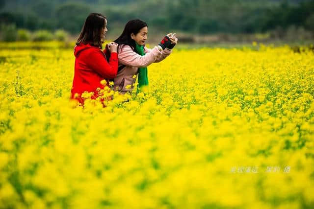 春节假期，广东清远这20个网红景点值得您前来打卡！