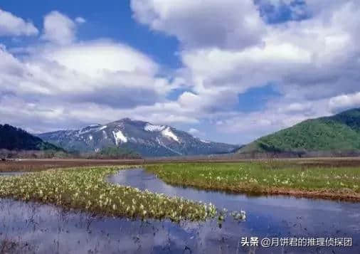 日本六月旅游推荐！雨季必去五大自然景点！镰仓、箱根、尾濑...