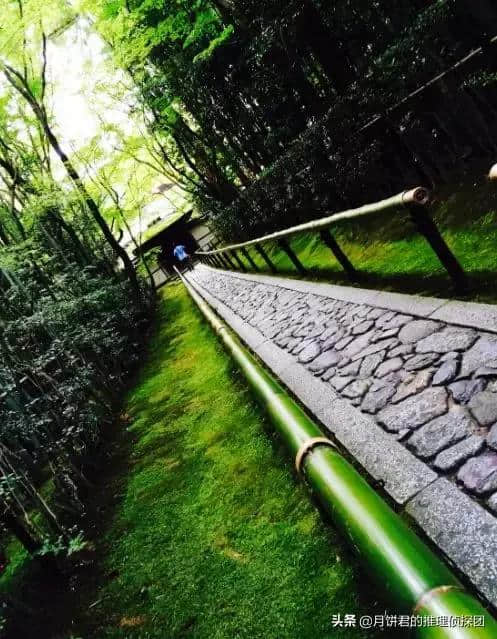 日本六月旅游推荐！雨季必去五大自然景点！镰仓、箱根、尾濑...