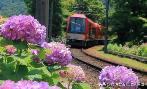 日本六月旅游推荐！雨季必去五大自然景点！镰仓、箱根、尾濑...