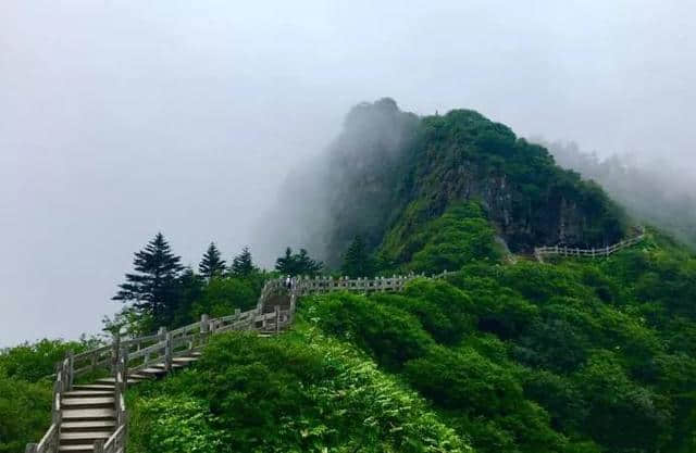 西岭雪山全球top1星空蛋屋露营基地，享清凉夏日，观云海美景