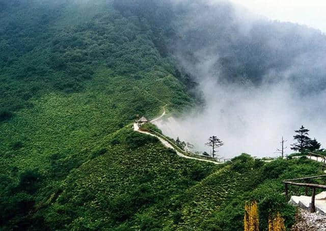 西岭雪山全球top1星空蛋屋露营基地，享清凉夏日，观云海美景