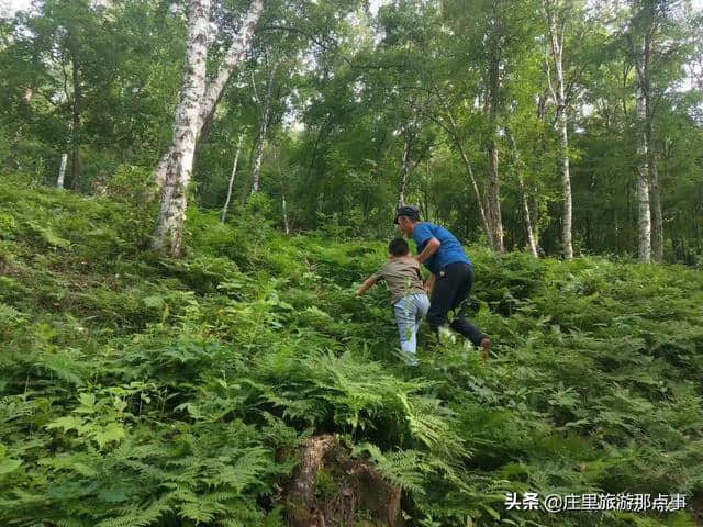 暑期自驾去草原，何必去遥远的呼伦贝尔，承德坝上草原美景如画