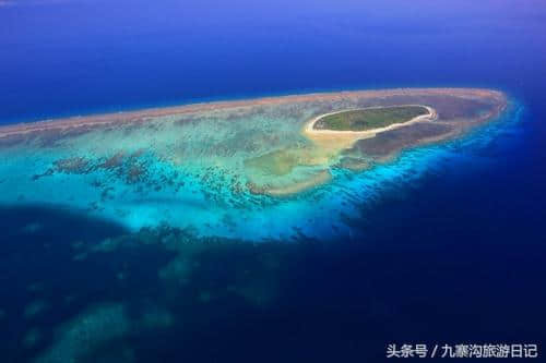 富饶的西沙群岛！一个没有被开发的旅游胜地！