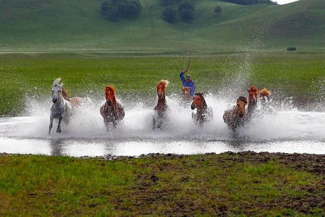 坝上草原生态旅游