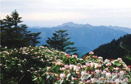 西岭雪山夏季旅游攻略（温度+玩点+交通）