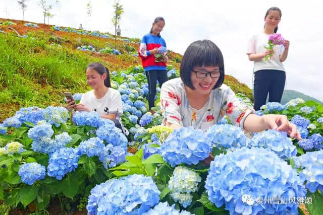 端午节去哪玩？泉州雪山最新旅游路线来了