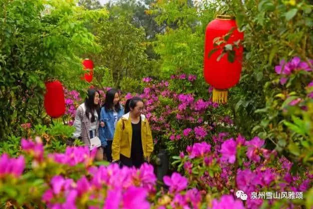 端午节去哪玩？泉州雪山最新旅游路线来了