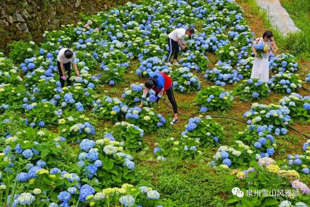 端午节去哪玩？泉州雪山最新旅游路线来了