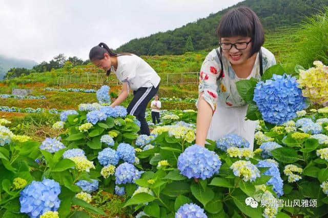 端午节去哪玩？泉州雪山最新旅游路线来了