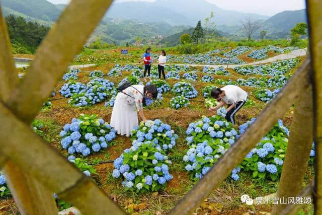 端午节去哪玩？泉州雪山最新旅游路线来了