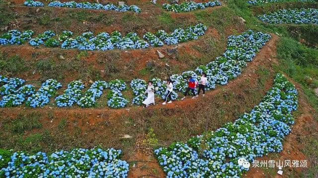 端午节去哪玩？泉州雪山最新旅游路线来了