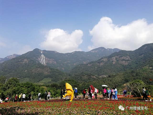 「聚焦」2018中国森林旅游节暨派潭民俗文化旅游节盛大举行！