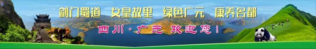 幸福之花绽放广元南山——芳香南山创建国家4A级旅游景区纪实