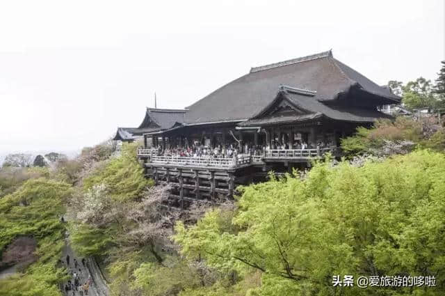 第一次去日本旅游，首选竟不是东京？大阪笑了……