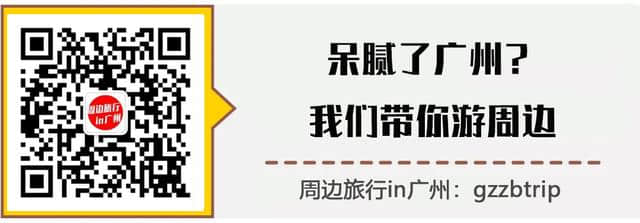 星溪徒步美食赏樱花：就在不远的从化，广州网红都爱打卡的地方