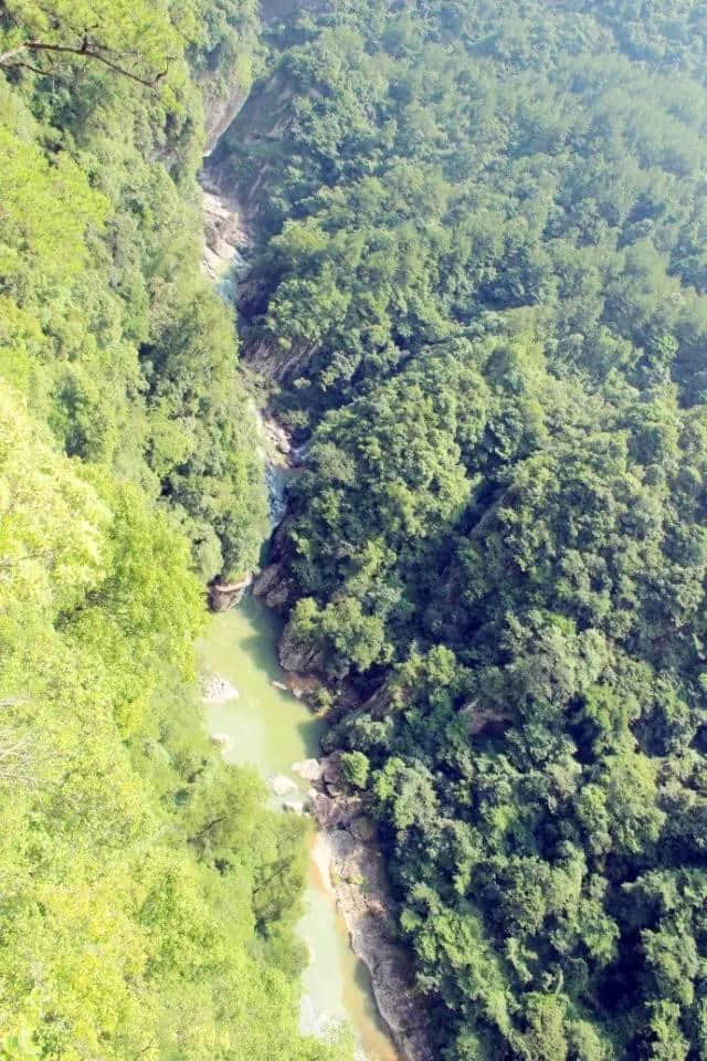 暑假亲子游：白水洋亲子泼水节