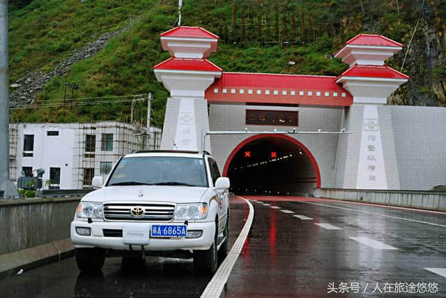 一览西藏杜鹃花季 细数四条国家级旅游线路