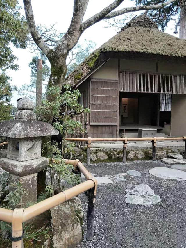 日本旅游攻略：在东京做梦，在京都看房子，在大阪迷路……