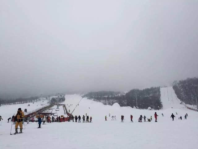 春来赏雪 西岭雪山“错峰”游攻略