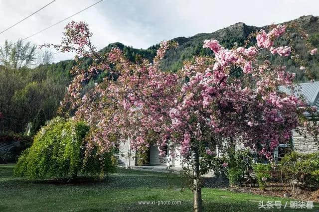 带父母去新西兰旅游的人，都后悔了……