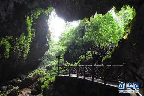 生态旅游“大文章” 文旅融合绽光彩——广西边关风情旅游带建设纵览