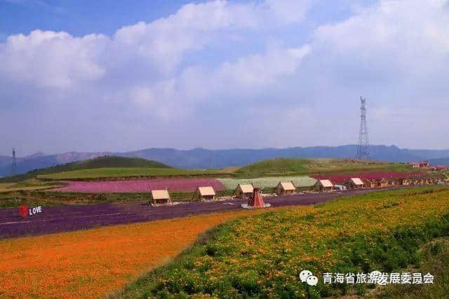 「旅游攻略」十一长假西宁周边赏花看秋景去哪里？