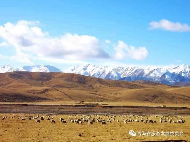 「旅游攻略」十一长假西宁周边赏花看秋景去哪里？