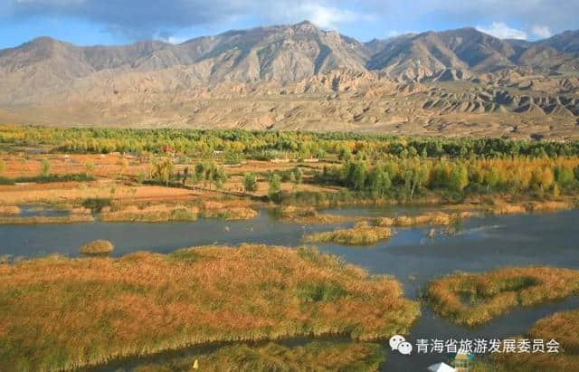 「旅游攻略」十一长假西宁周边赏花看秋景去哪里？