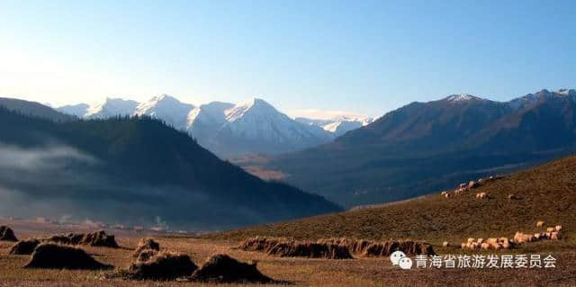 「旅游攻略」十一长假西宁周边赏花看秋景去哪里？