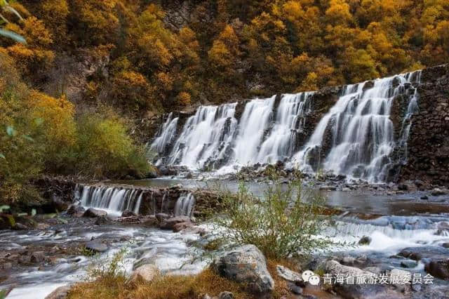 「旅游攻略」十一长假西宁周边赏花看秋景去哪里？