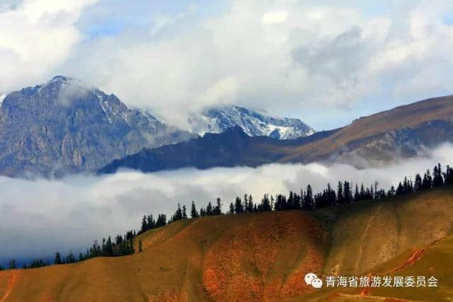 「旅游攻略」十一长假西宁周边赏花看秋景去哪里？