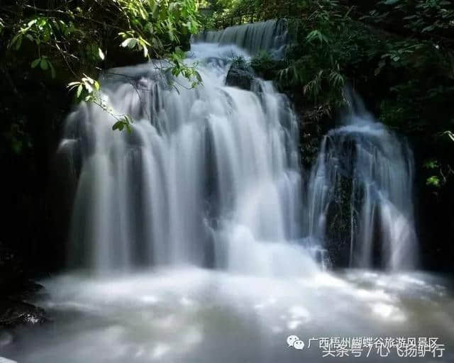 广西藤县“龙母的故乡”的旅游景点大全